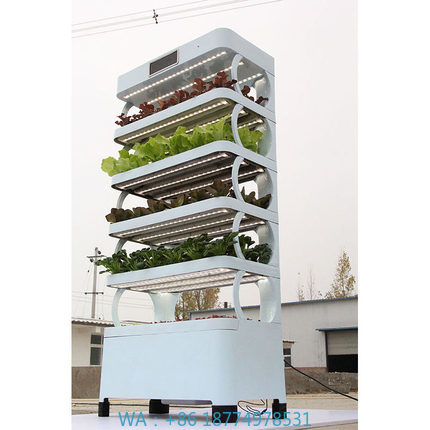 Smart Garden Indoor - Systemy hydroponiczne do uprawy w domu,