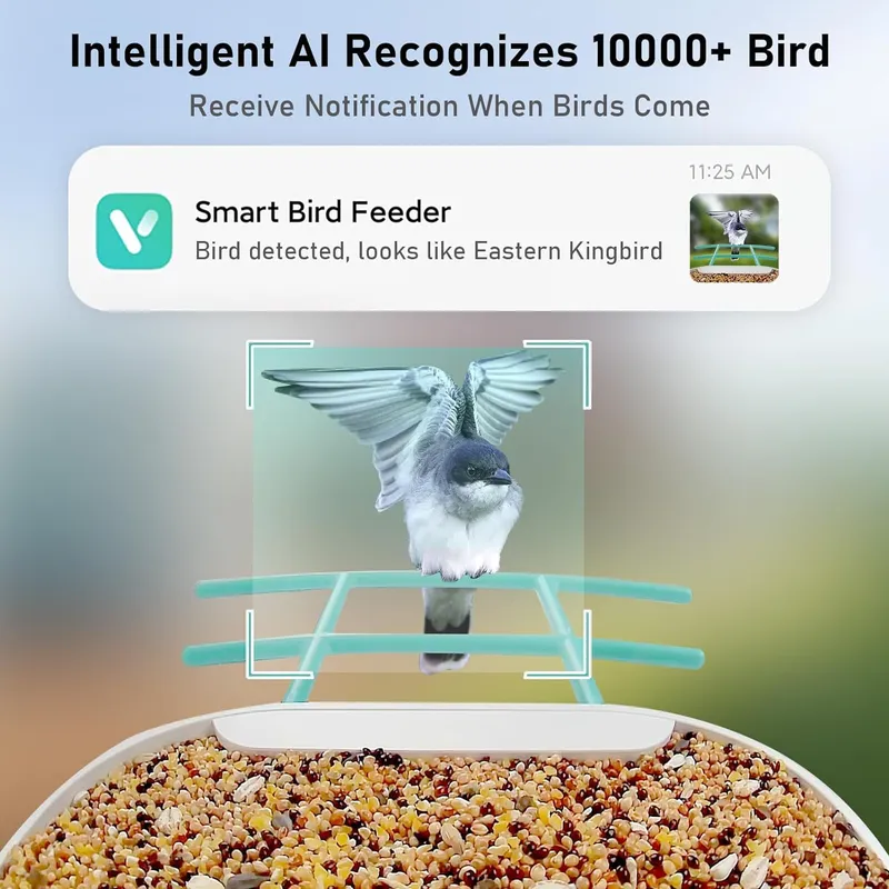 Inteligentny karmnik dla ptakó – Smart Garden Video recenzja i cena