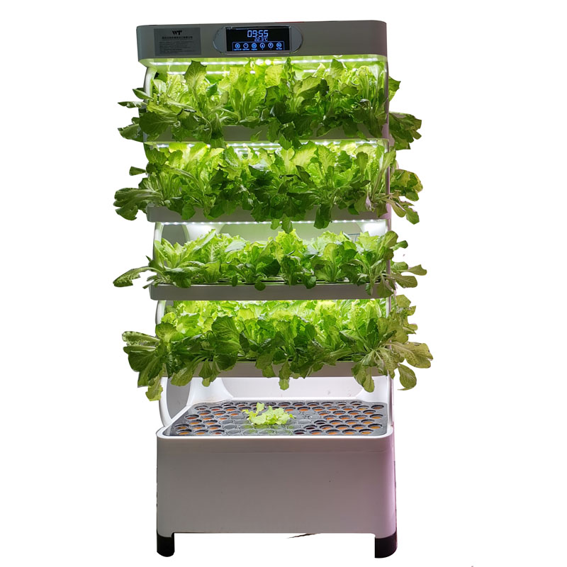 Inteligentny, niskobudżetowy,  – Smart Garden Indoor recenzja i cena