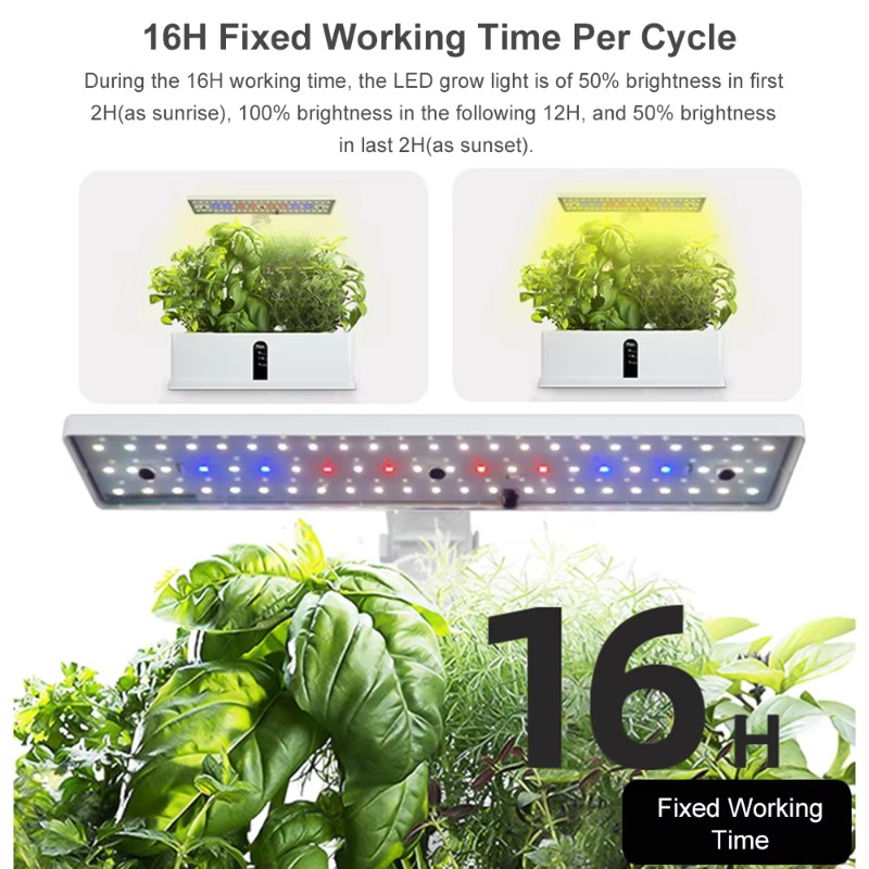 9-komórkowy inteligentny syste – Smart Garden Indoor recenzja i cena
