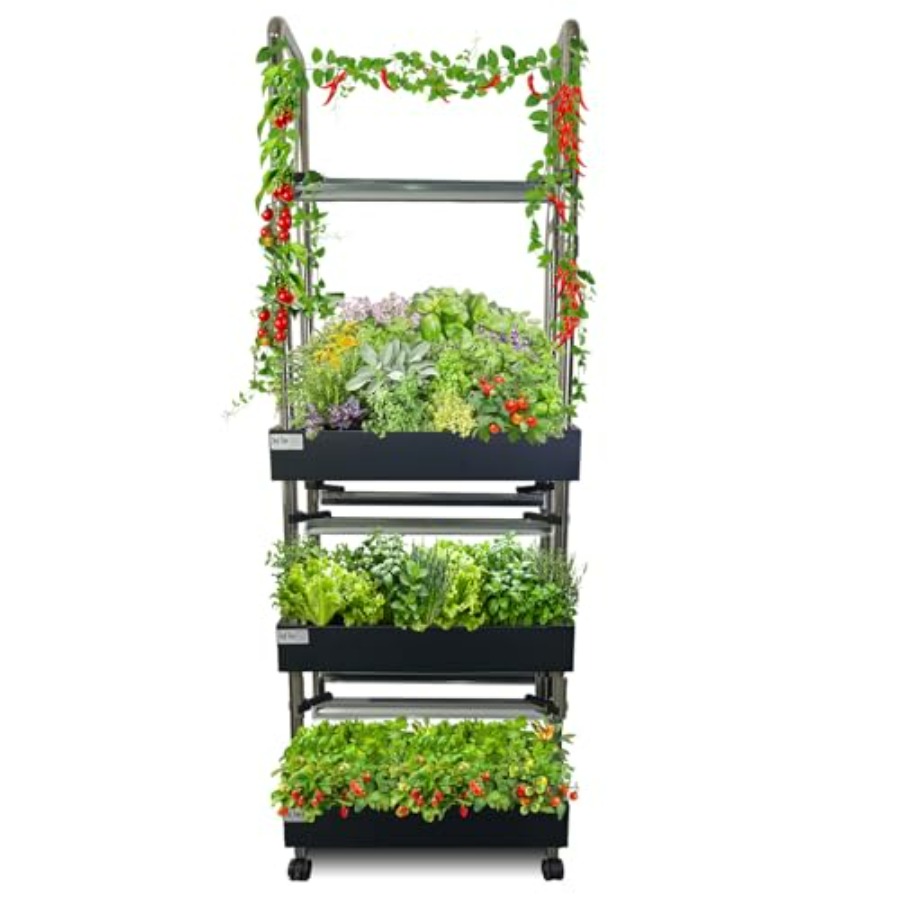 System hydroponiczny do uprawy – Smart Garden Indoor recenzja i cena